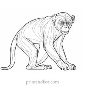 monkey Coloring Page Hard