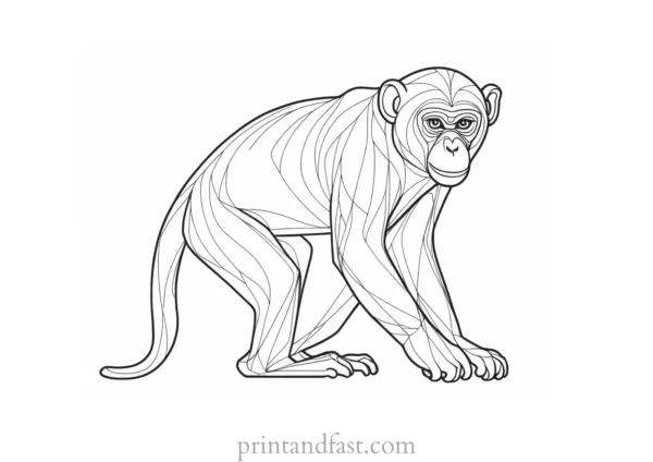 monkey Coloring Page Hard