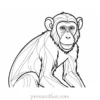 monkey Coloring Page Interactive