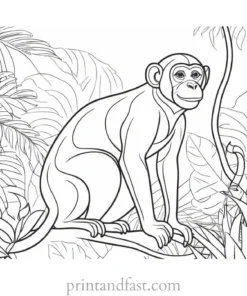 monkey Coloring Page Jungle