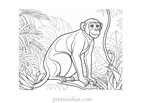 monkey Coloring Page Jungle