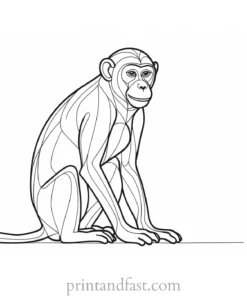 monkey Coloring Page Printable