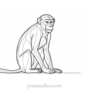 monkey Coloring Page Printable