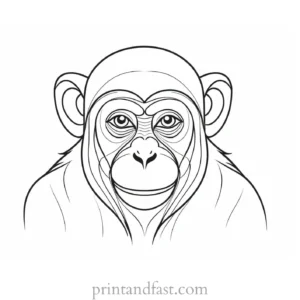 monkey Coloring Page Realistic