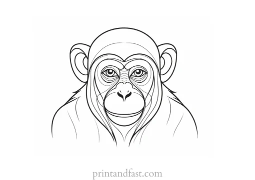 monkey Coloring Page Realistic