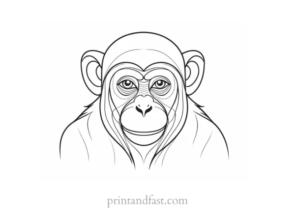 monkey Coloring Page Realistic