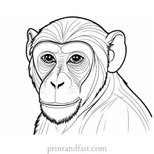 monkey Coloring Page Zoo