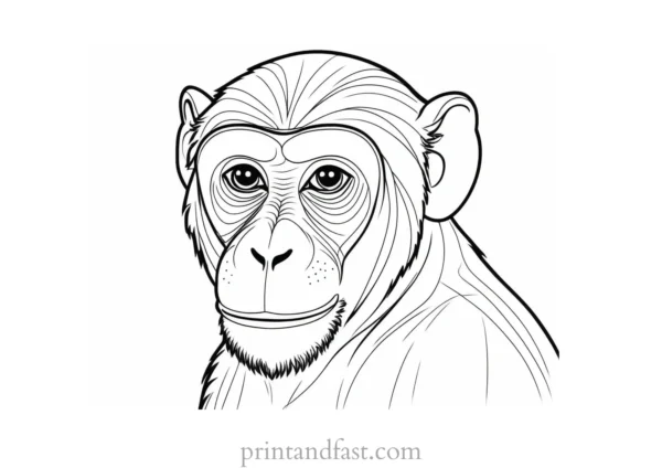 monkey Coloring Page Zoo