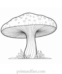 mushroom coloring page complex