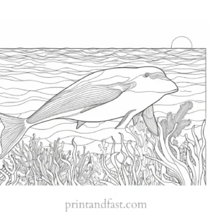 ocean animal coloring page