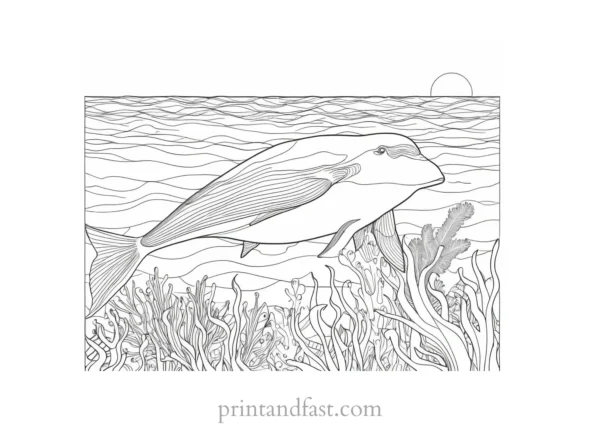 ocean animal coloring page