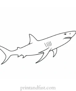 ocean shark coloring page