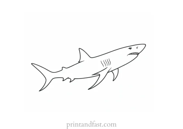 ocean shark coloring page