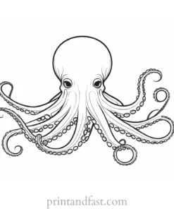 octopus coloring page advanced