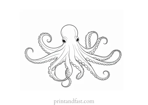 octopus coloring page outline