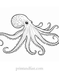 octopus coloring page simple