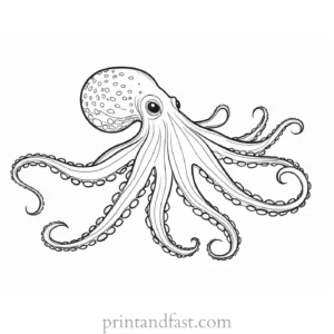 octopus coloring page simple