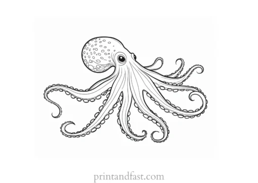 octopus coloring page simple