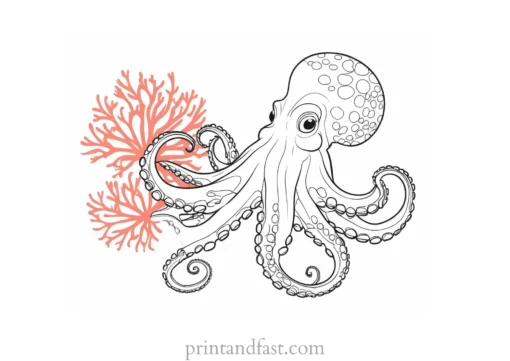 octopus coloring page with coral