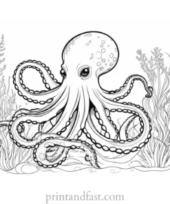 octopus coloring page with seaweed