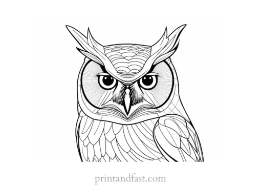 online owl coloring page