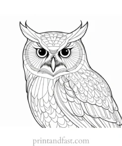 owl coloring page for adults