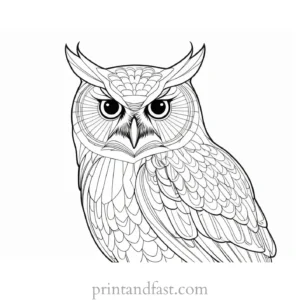 owl coloring page for adults