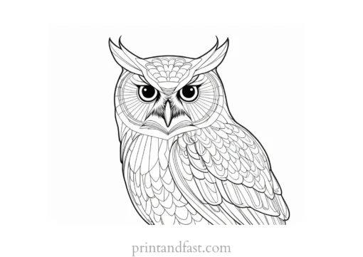 owl coloring page for adults