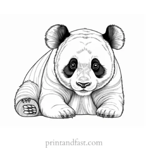 panda coloring page creative