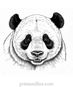 panda coloring page detailed