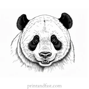 panda coloring page detailed