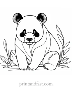 panda coloring page for kids