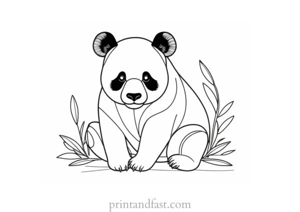 panda coloring page for kids