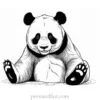 panda coloring page free