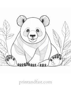 panda coloring page fun