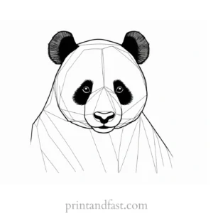 panda coloring page realistic