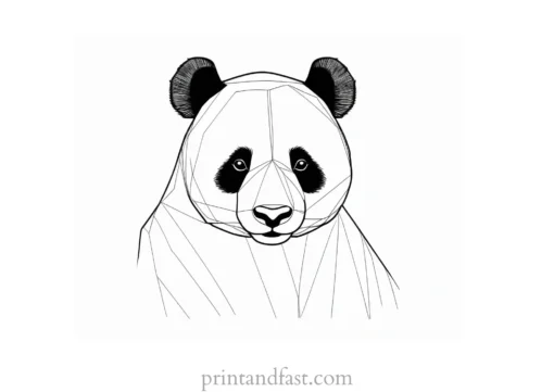 panda coloring page realistic