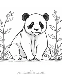 panda coloring page template