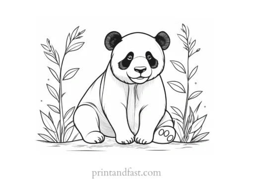 panda coloring page template