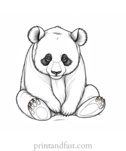 panda coloring page zoo