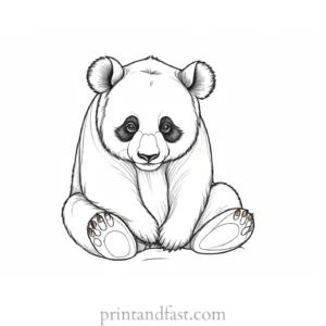 panda coloring page zoo