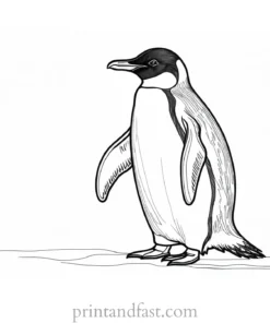 penguin Coloring Page Arctic