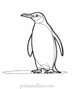 penguin Coloring Page Cartoon