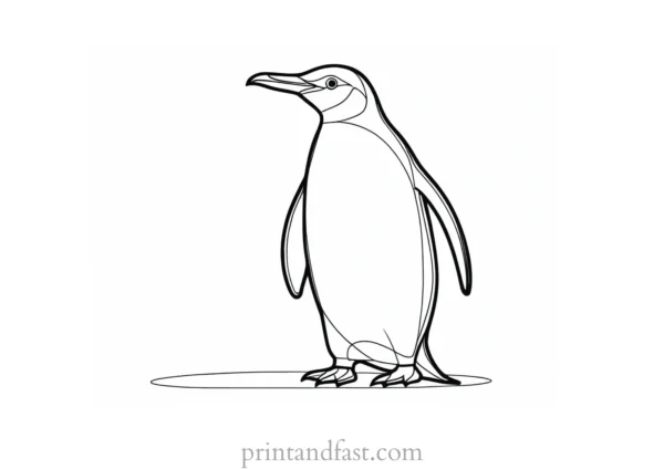 penguin Coloring Page Cartoon