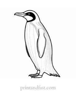 penguin Coloring Page Christmas