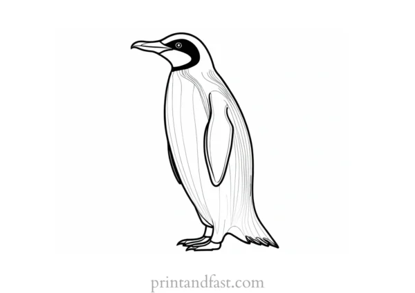 penguin Coloring Page Christmas