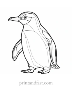 penguin Coloring Page Coloring Book