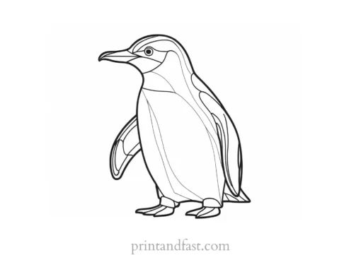 penguin Coloring Page Coloring Book