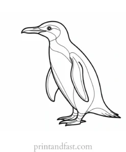 penguin Coloring Page Detailed