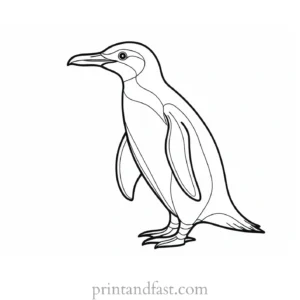 penguin Coloring Page Detailed